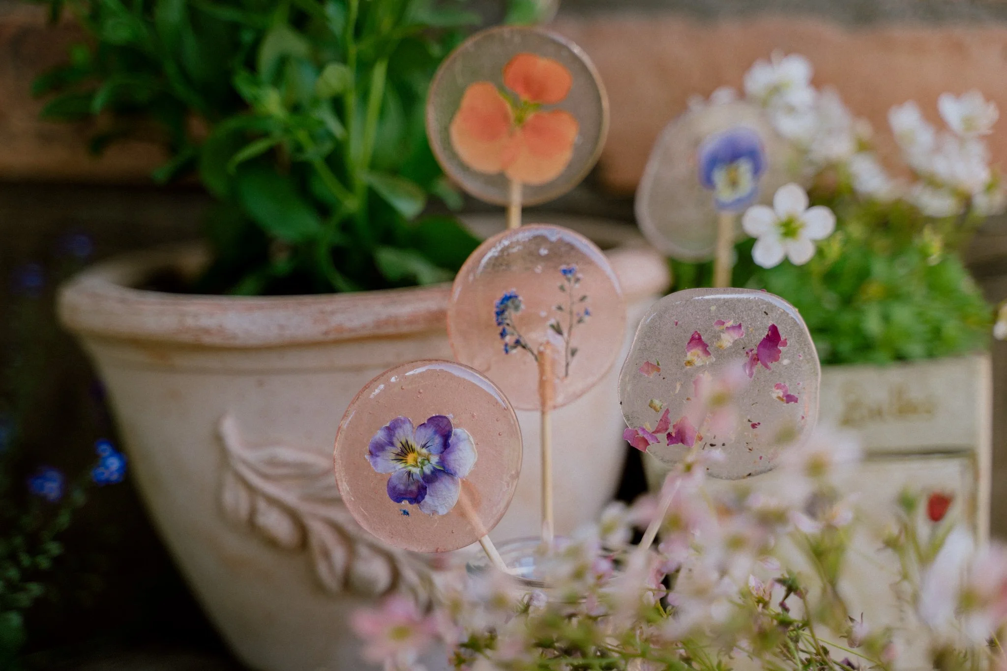 Edible Flower Lollipop — HER 86m2 - by Thuy Dao